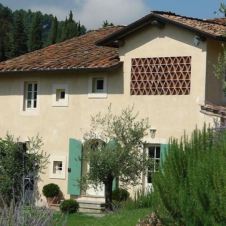 Villa Agriturismo Mareli Camaiore Exterior foto